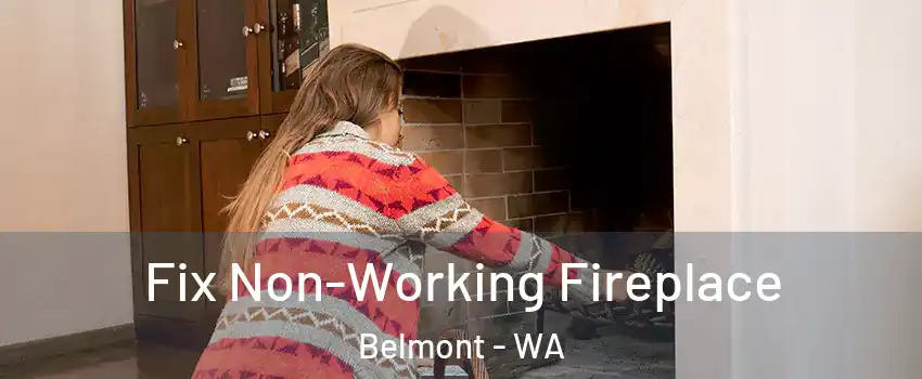 Fix Non-Working Fireplace Belmont - WA