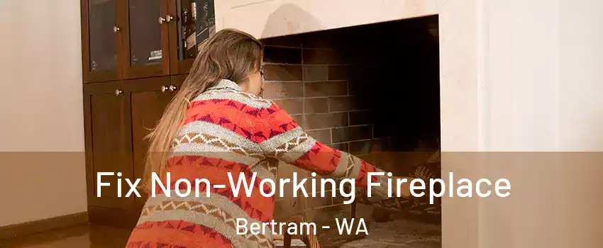 Fix Non-Working Fireplace Bertram - WA