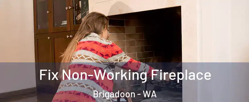 Fix Non-Working Fireplace Brigadoon - WA