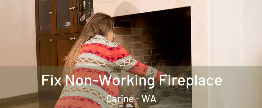 Fix Non-Working Fireplace Carine - WA