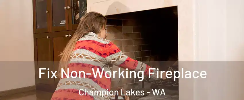 Fix Non-Working Fireplace Champion Lakes - WA