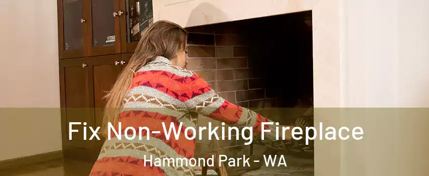 Fix Non-Working Fireplace Hammond Park - WA