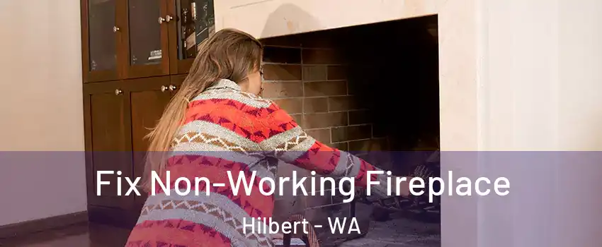 Fix Non-Working Fireplace Hilbert - WA