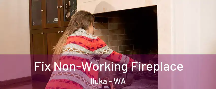 Fix Non-Working Fireplace Iluka - WA
