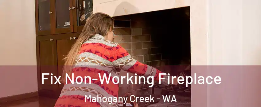 Fix Non-Working Fireplace Mahogany Creek - WA