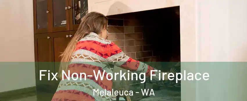 Fix Non-Working Fireplace Melaleuca - WA