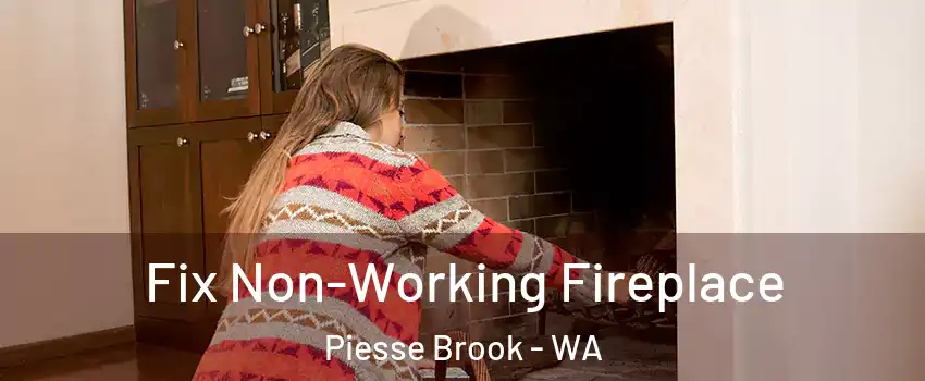 Fix Non-Working Fireplace Piesse Brook - WA