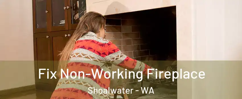 Fix Non-Working Fireplace Shoalwater - WA