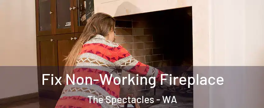 Fix Non-Working Fireplace The Spectacles - WA