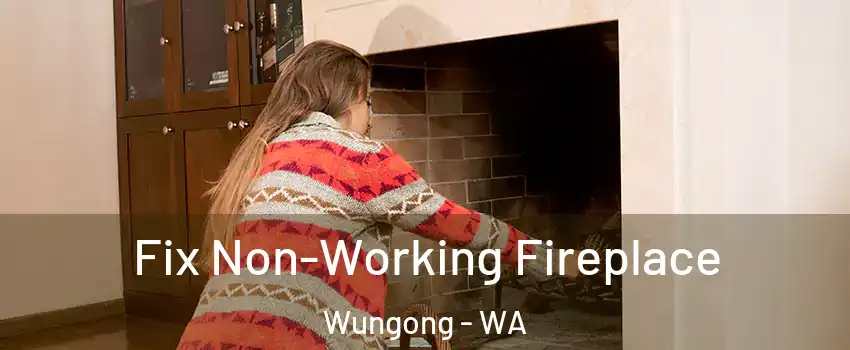 Fix Non-Working Fireplace Wungong - WA
