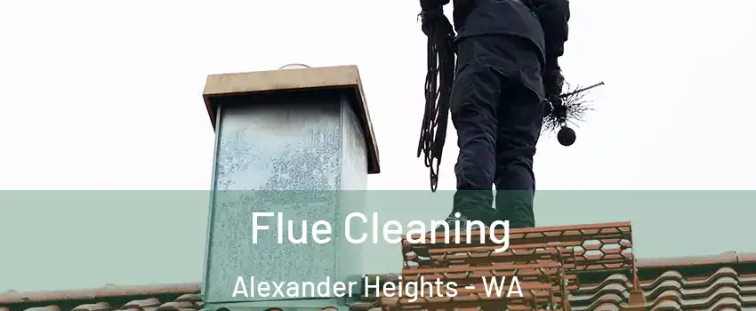 Flue Cleaning Alexander Heights - WA
