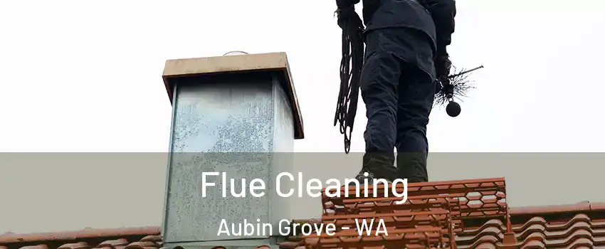 Flue Cleaning Aubin Grove - WA