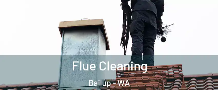 Flue Cleaning Bailup - WA