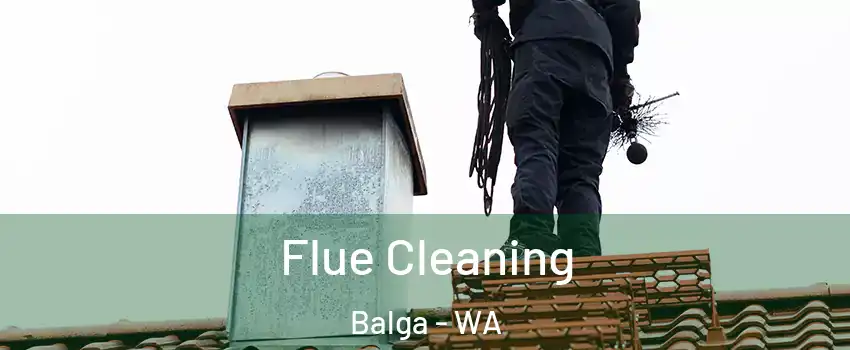 Flue Cleaning Balga - WA