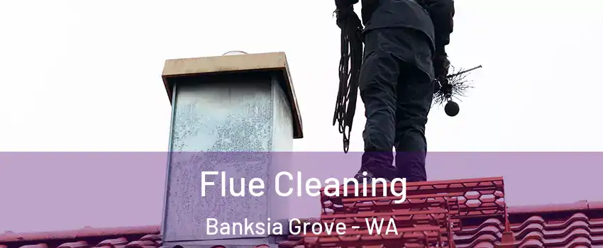 Flue Cleaning Banksia Grove - WA