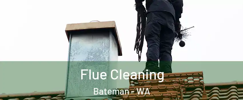Flue Cleaning Bateman - WA