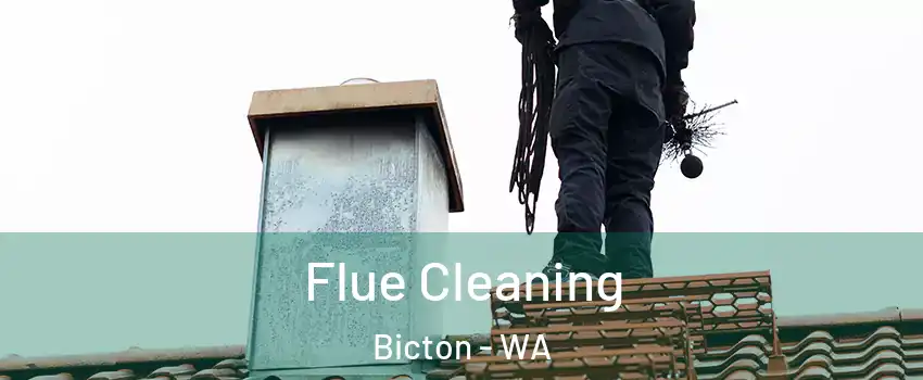 Flue Cleaning Bicton - WA