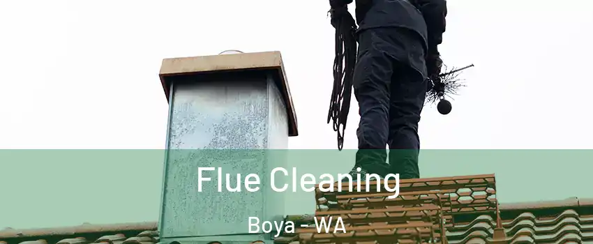 Flue Cleaning Boya - WA