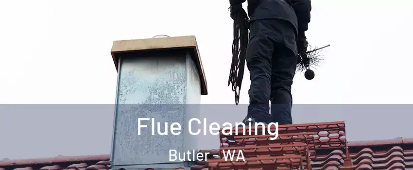 Flue Cleaning Butler - WA
