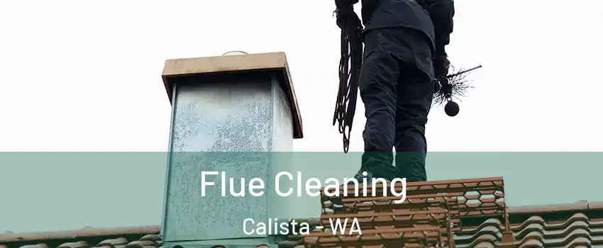 Flue Cleaning Calista - WA