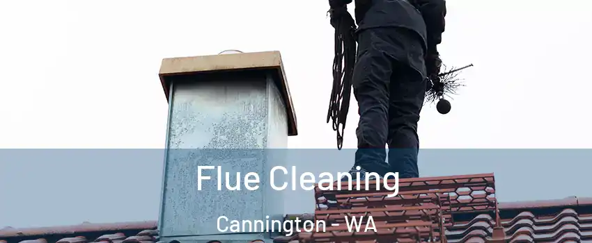 Flue Cleaning Cannington - WA