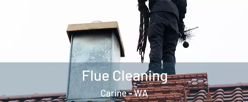 Flue Cleaning Carine - WA