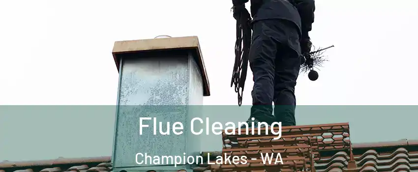 Flue Cleaning Champion Lakes - WA