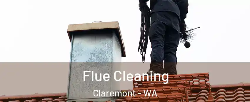 Flue Cleaning Claremont - WA