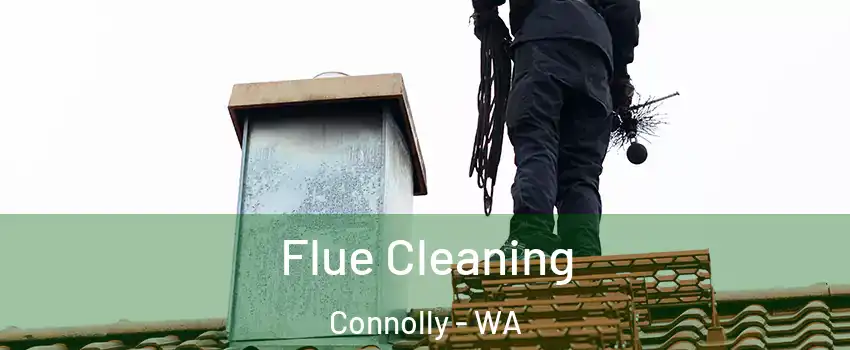 Flue Cleaning Connolly - WA