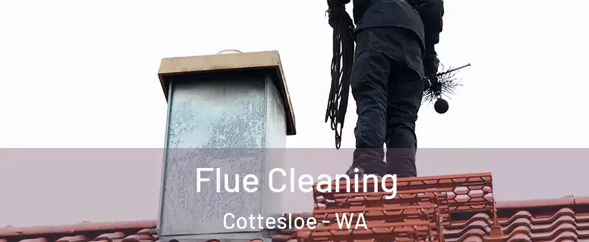 Flue Cleaning Cottesloe - WA