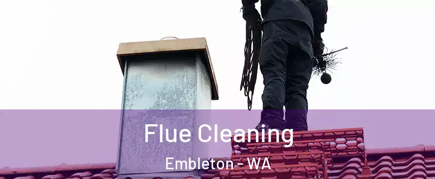 Flue Cleaning Embleton - WA