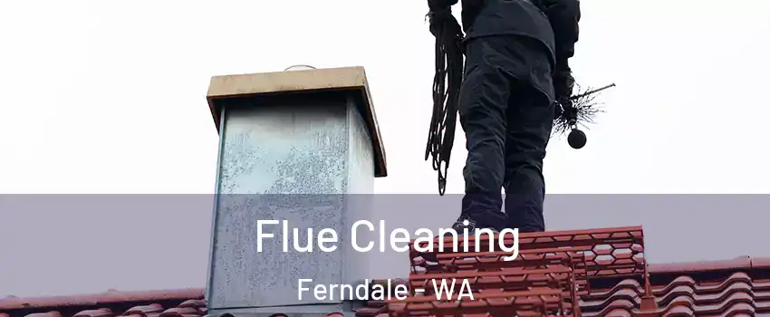 Flue Cleaning Ferndale - WA