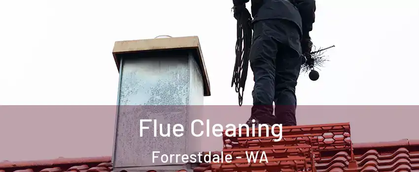 Flue Cleaning Forrestdale - WA