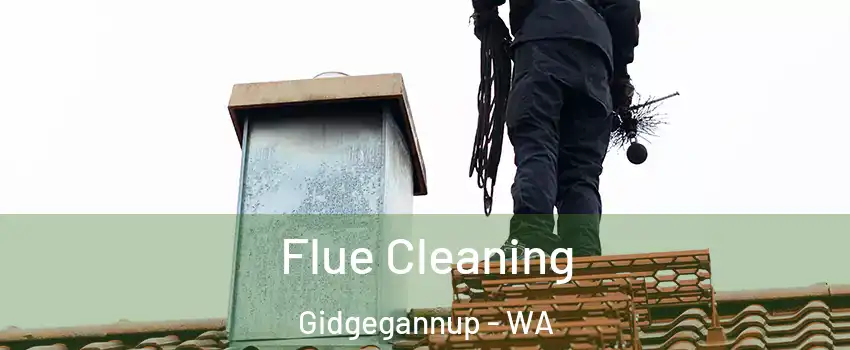 Flue Cleaning Gidgegannup - WA