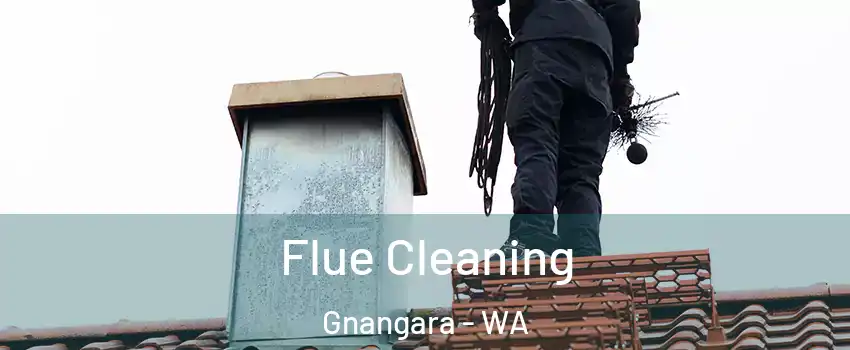 Flue Cleaning Gnangara - WA