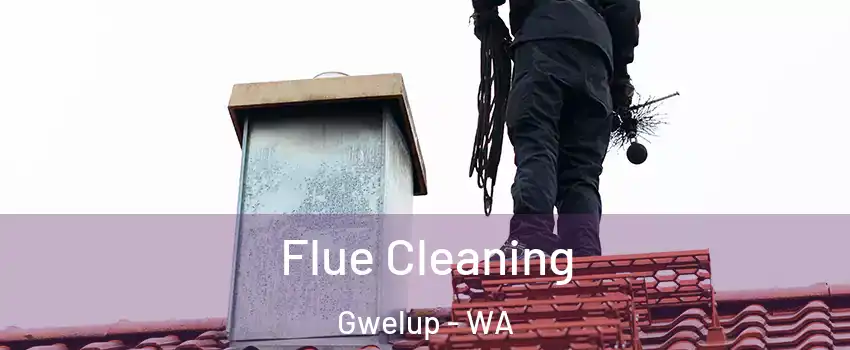 Flue Cleaning Gwelup - WA