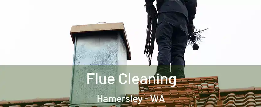 Flue Cleaning Hamersley - WA