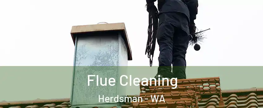 Flue Cleaning Herdsman - WA