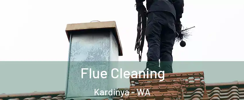 Flue Cleaning Kardinya - WA