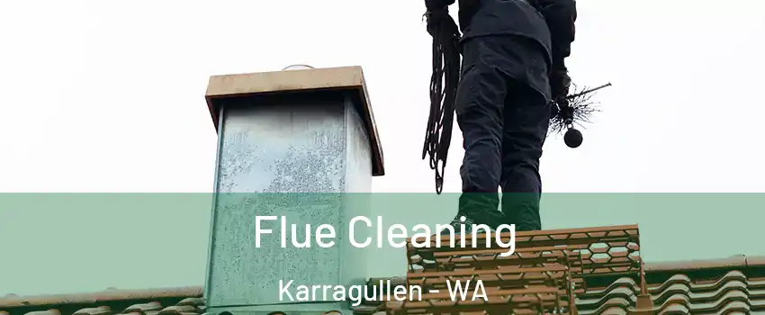 Flue Cleaning Karragullen - WA