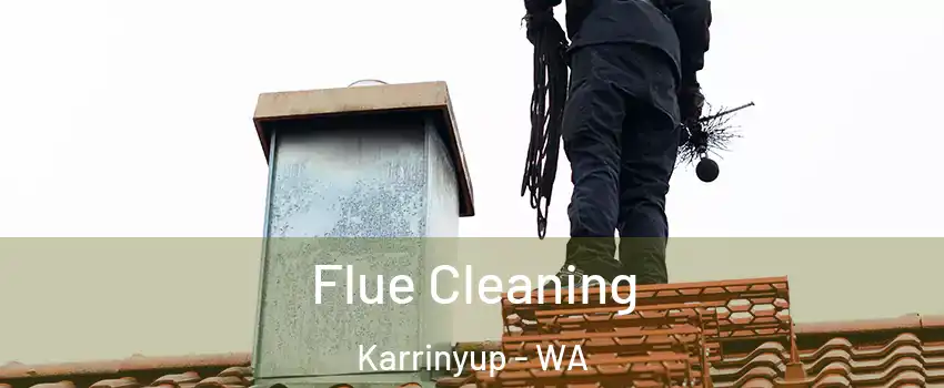 Flue Cleaning Karrinyup - WA