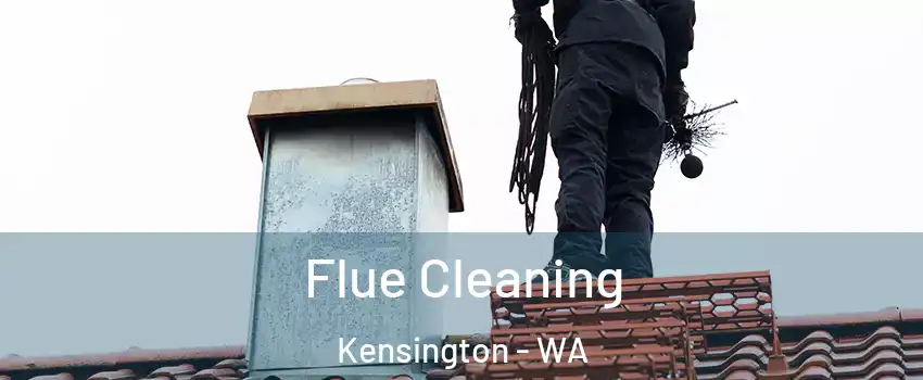 Flue Cleaning Kensington - WA