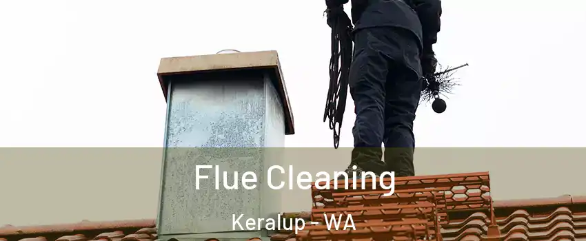 Flue Cleaning Keralup - WA