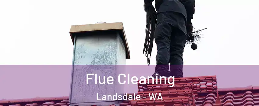Flue Cleaning Landsdale - WA