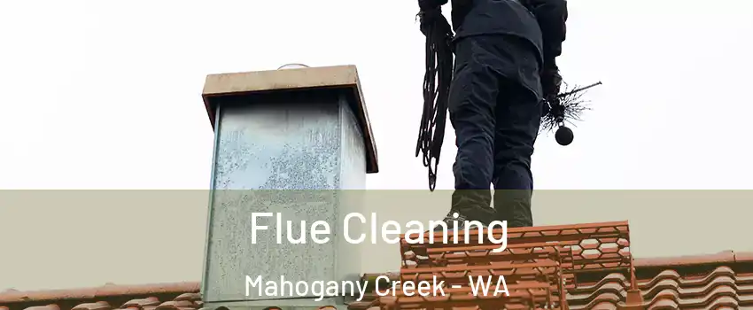 Flue Cleaning Mahogany Creek - WA