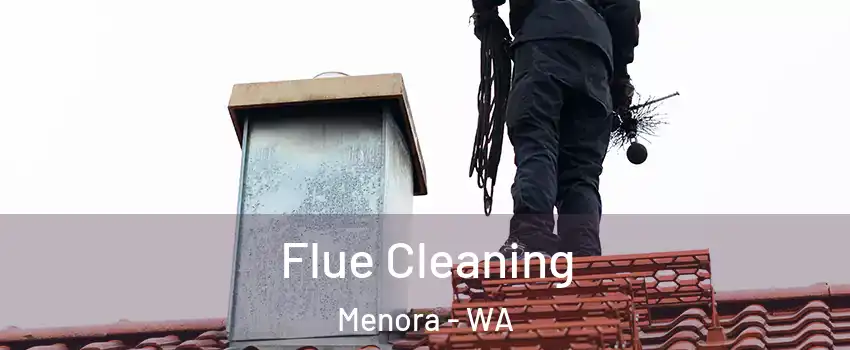Flue Cleaning Menora - WA