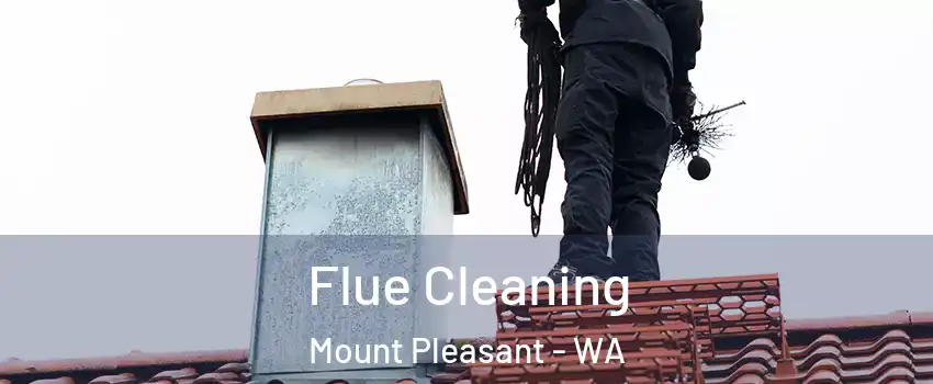 Flue Cleaning Mount Pleasant - WA