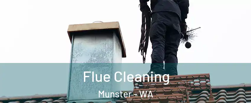 Flue Cleaning Munster - WA