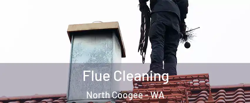 Flue Cleaning North Coogee - WA