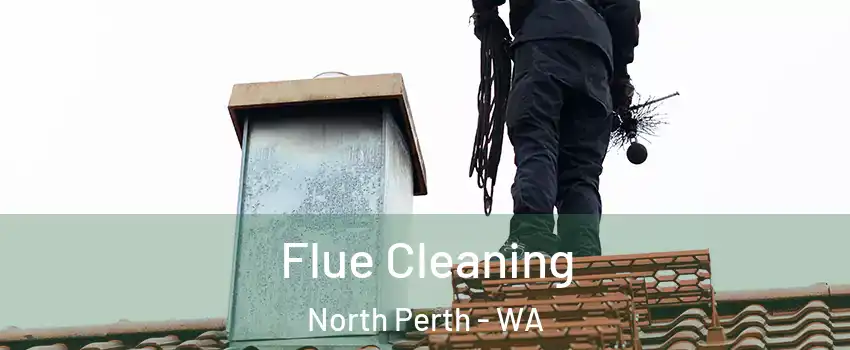 Flue Cleaning North Perth - WA